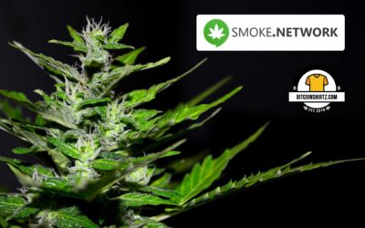 Smoke Network Blockchain Successfully Launched